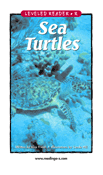 Sea Turtles