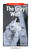 The Gray Wolf
