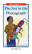 The Ant in the Photograph